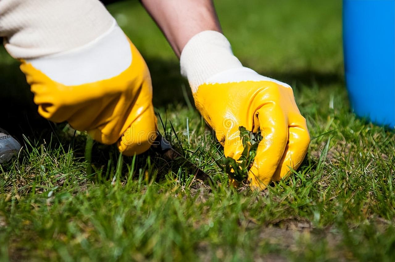 農藥購買平臺_農藥購買平臺敵敵畏_中國農資農藥批發網