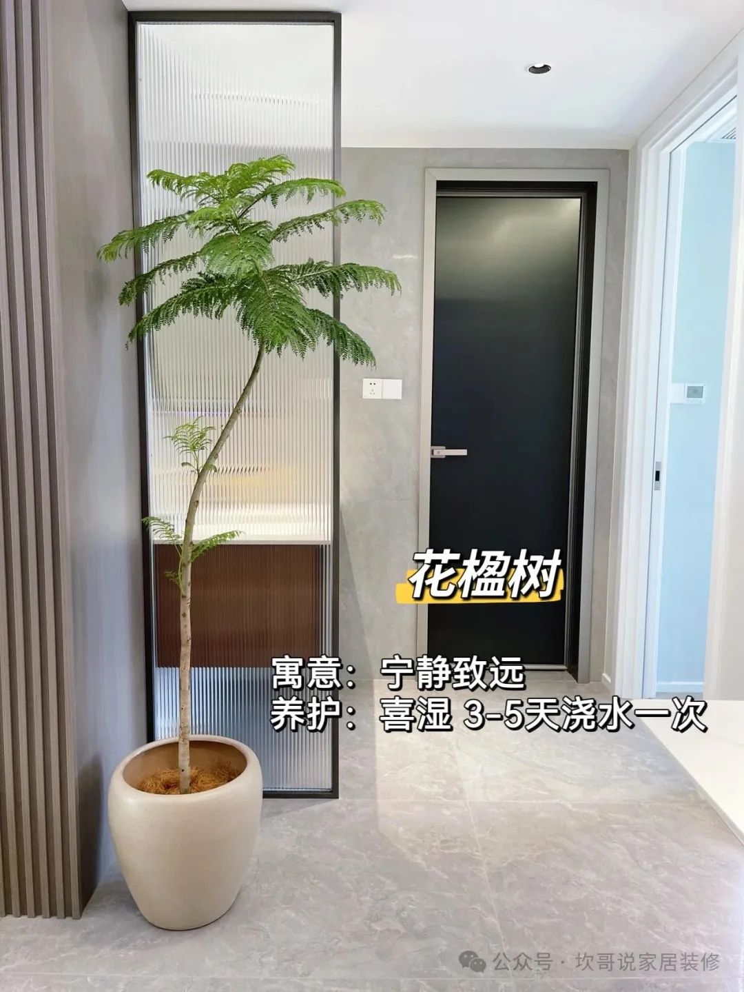 最適合懶人養(yǎng)的綠植_養(yǎng)綠植適合懶人養(yǎng)嗎_懶人養(yǎng)植物