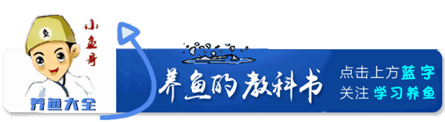 耐高溫耐寒的多肉植物有哪些_超耐寒多肉_耐高溫又耐寒的多肉
