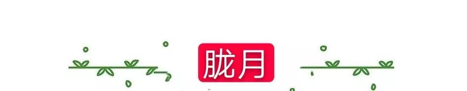 超耐寒多肉_耐高溫耐寒的多肉植物有哪些_耐高溫又耐寒的多肉