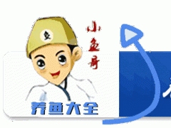 冬季最不怕凍的幾種多肉，露養在院子里或樓頂上都沒事！