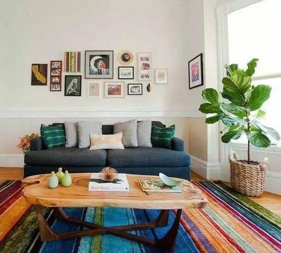 客廳養綠植適合放什么花_客廳養綠植適合什么花_客廳適合養什么綠植