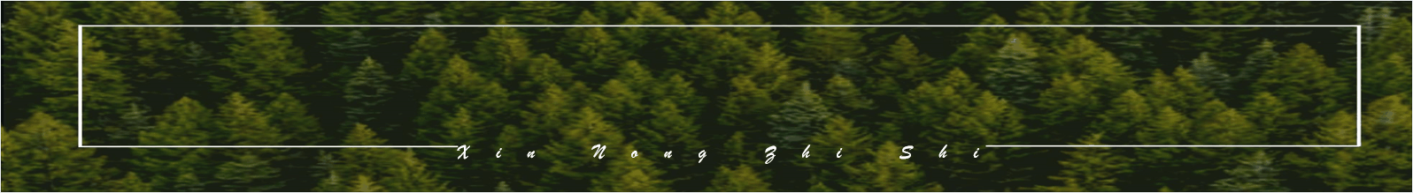 油菜種植的方法與時間_油菜種植時間和方法_油菜種植方法和注意事項