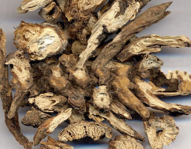 藥材功效黃柏作用與主治_藥材黃柏的功效與作用_黃柏的功效