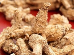 西洋參白術的功效與作用(黃芪白術西洋參的功效與作用)