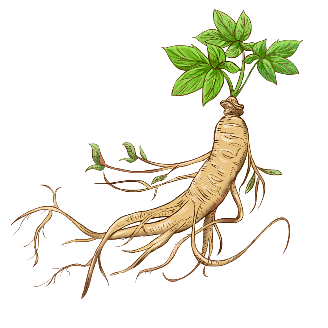 藥材貴與便宜的區別_藥材貴嗎_貴的藥材