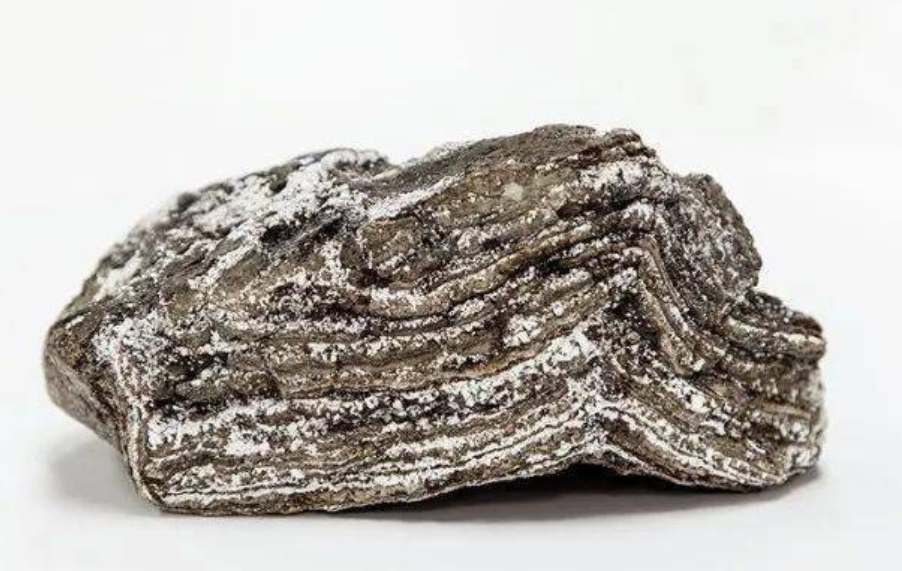 貴的藥材_藥材貴與便宜的區別_藥材貴嗎