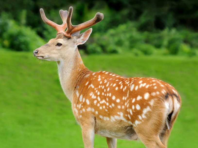 藥材貴與便宜的區別_貴的藥材_藥材貴嗎