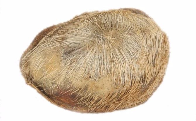 藥材貴與便宜的區別_藥材貴嗎_貴的藥材