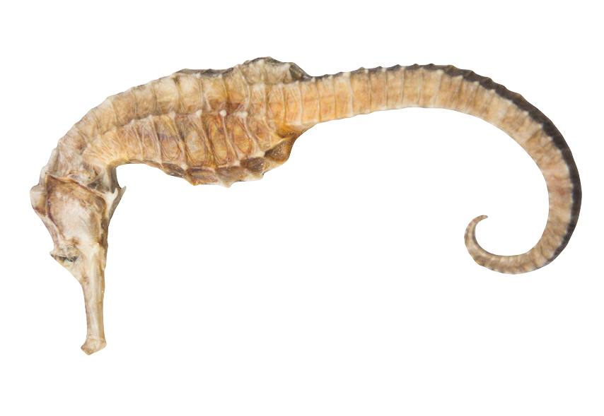 貴的藥材_藥材貴與便宜的區別_藥材貴嗎