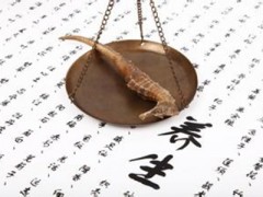 中藥海馬價格貴嗎 海馬的產地和分布介紹