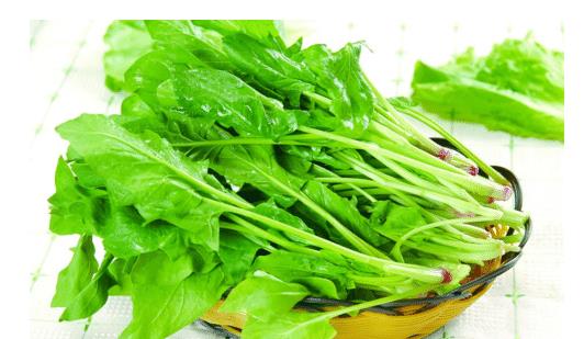 2018農(nóng)藥殘留最少十種蔬菜_農(nóng)藥殘留最厲害的5種蔬菜_蔬菜農(nóng)藥殘留排行榜