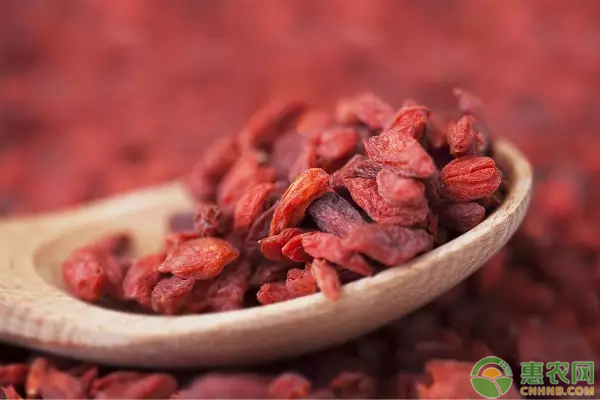 中藥種植哪種最有前景_中藥種植前景如何_中藥前景種植種有哪些