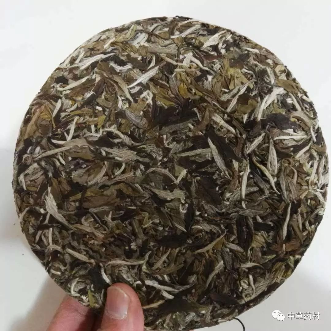 白牡丹藥材_白牡丹藥用價值_中藥白牡丹的別名