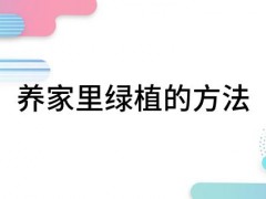 養(yǎng)家里綠植的方法