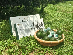 【安化黃精】引養(yǎng)·小精柑——新會陳皮青柑+安化多花黃精=中藥茶飲新形態(tài)