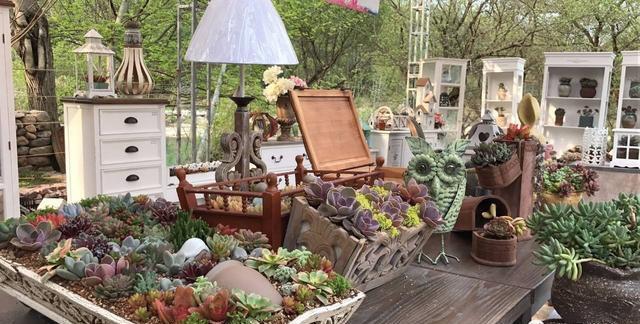 多肉喜歡什么肥料_多肉植物用肥_多肉肥料喜歡什么土壤