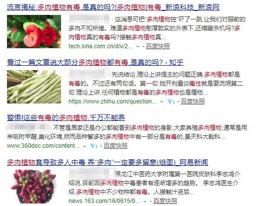 多肉枝干番杏怎么養(yǎng)_番杏類多肉哪個好養(yǎng)_枝干番杏多肉