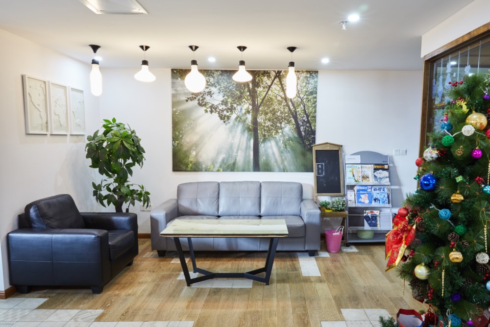 適合室內長期養的綠植_適合室內長期養的植物_室內養長期綠植適合種什么花