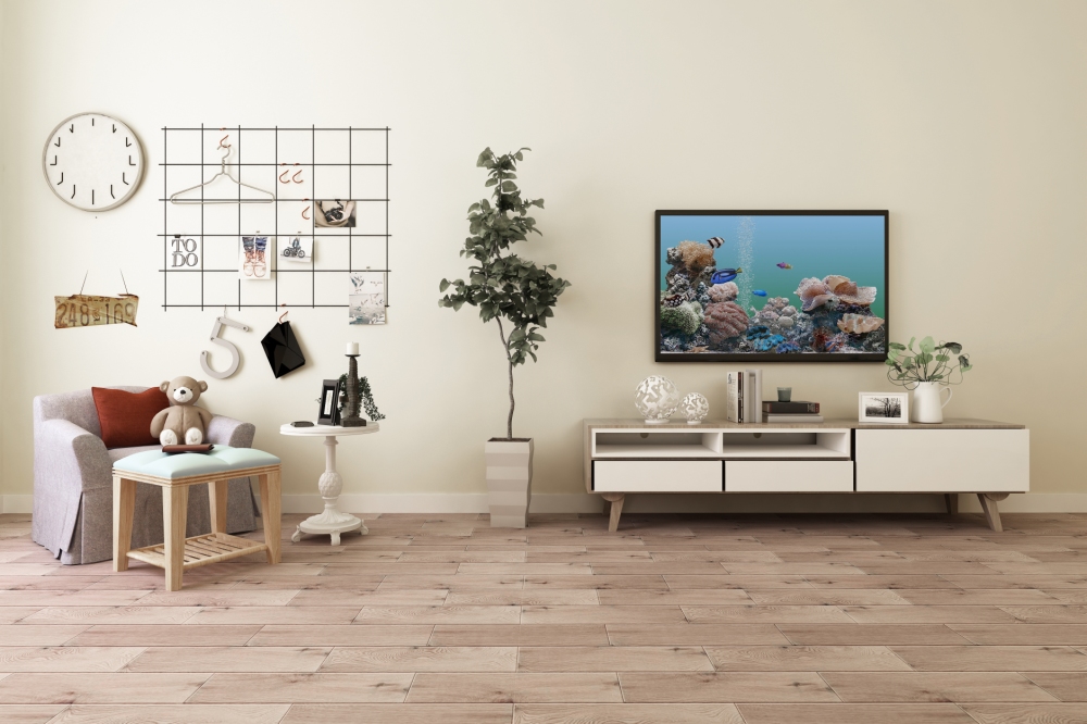 室內養長期綠植適合種什么花_適合室內長期養的植物_適合室內長期養的綠植