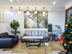 最火的10大網紅綠植，養在家里超有范兒，你家要不來一盆？