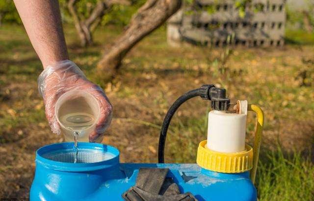 農藥毫升和克一樣嗎_1克農藥等于多少毫升_1毫升農藥=多少克