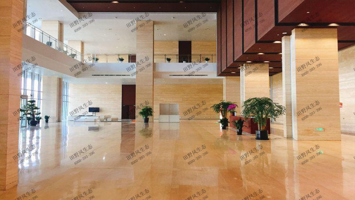 花卉室內綠植租擺圖片大全_花卉室內綠植租擺圖片_室內花卉綠植租擺