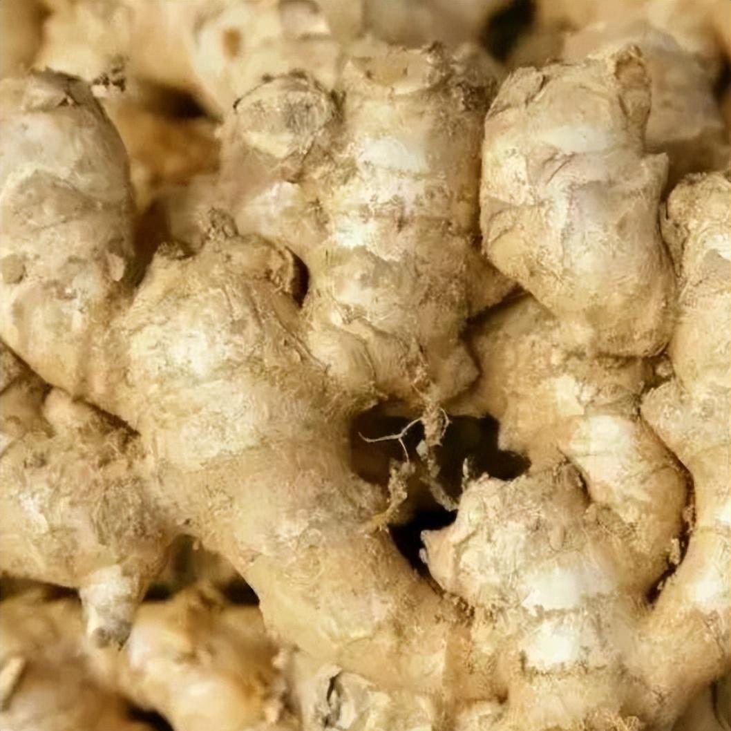 藥材干姜的制作方法_干姜藥材_藥材干姜與生姜有藥用區別嗎