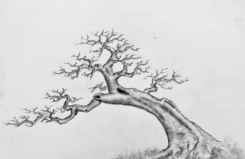 適合北方種植的果樹_果樹北方種植適合什么土壤_果樹北方種植適合什么季節(jié)