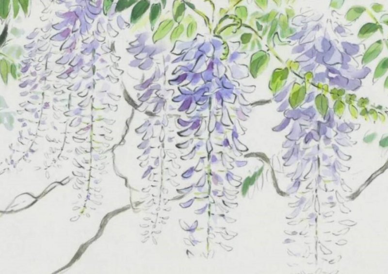 南方適合種植什么果樹(shù)_果樹(shù)南方種植適合什么土壤_適應(yīng)南方果樹(shù)苗