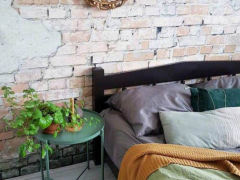 提醒：綠植放床頭可以凈化空氣，但更能引起健康危害！