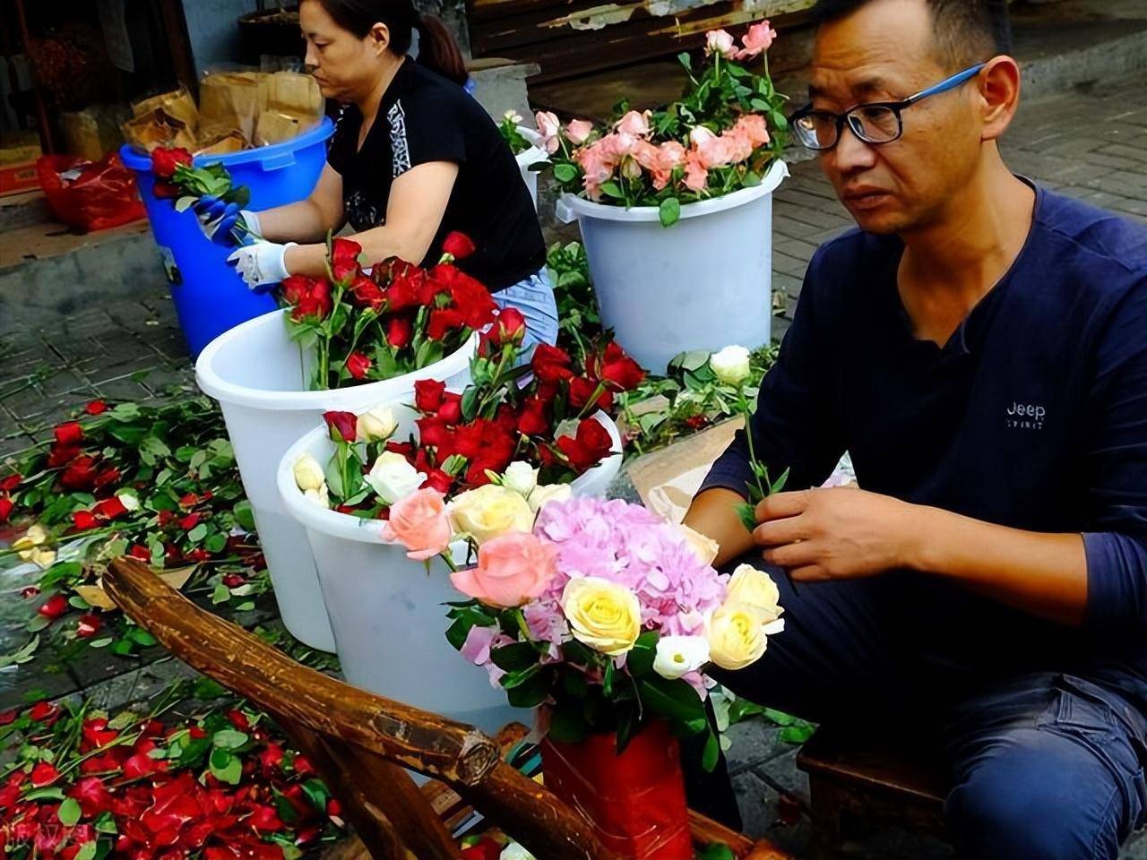 藥錦多肉還能養活嗎_常見藥錦多肉_什么是藥錦多肉