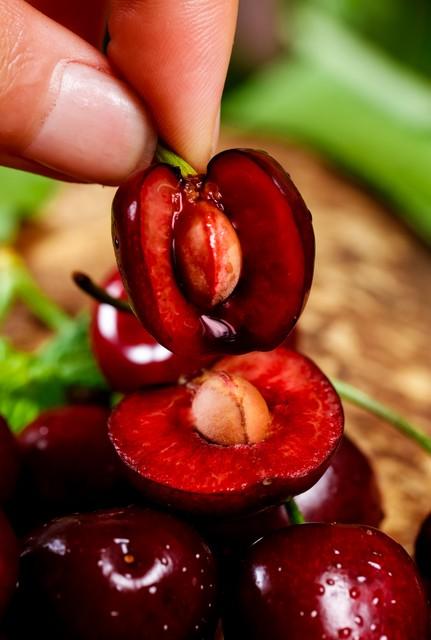 車厘子在南方可以種植嗎_南方種植車厘子可以嗎視頻_南方能種車厘子