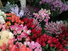 花藝店都是從哪上的鮮花呀？