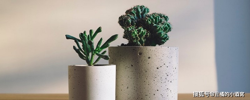 哪種多肉是招財(cái)?shù)腳招財(cái)多肉怎么繁殖_多肉招財(cái)?shù)挠心男?/></p>
<p>家里有錢串子風(fēng)水好嗎</p>
<p>錢串子花有著美好的寓意，給人以財(cái)源滾滾的美好憧憬，而且其外形美觀，觀賞價(jià)值非常高。尤其是春節(jié)時(shí)，既可以在家中擺放，也可以作為禮物贈(zèng)送給親朋好友們，有著招財(cái)納福的風(fēng)水意義。</p>
<p>其實(shí)我們生活中有不少能夠帶來美好意義的家居風(fēng)水植物花卉，像發(fā)財(cái)樹、聚寶盆等品種繁多的多肉植物中，也有不少寓意吉祥、能夠招來好運(yùn)的植物，錢串子就是其中之一。如今已經(jīng)成為室內(nèi)的一種熱門植物。</p>
<p>錢串子放在哪個(gè)位置好</p>
<p>錢串子喜愛陽(yáng)光，對(duì)光照要求比較高，如果長(zhǎng)時(shí)間放在蔭蔽的室內(nèi)環(huán)境中，則不太適應(yīng)它的生長(zhǎng)，而在陽(yáng)光下養(yǎng)殖它的葉子邊緣會(huì)顯現(xiàn)出十分明顯的紅色，增加觀賞性，特別是臨近春節(jié)，晝夜溫差大，葉緣的紅色更明顯，加上類似錢串的形狀，看上去十分討喜。所以最好是放在陽(yáng)光充足的能照射到的地方。；例如陽(yáng)臺(tái)，窗臺(tái)，走廊等地方。</p>
<p>錢串是會(huì)開花的植物，它的花期都是在每年的4月份——5月份之間。錢串的花朵十分的細(xì)小，顏色多是白色或者檸檬黃色，有著粉紅色的花蕊。看起來密密麻麻，很多人好奇錢串子開花什么預(yù)兆？其實(shí)這預(yù)示著生錢，有著財(cái)源廣進(jìn)的美好寓意。</p></div>
<div   id="x971d799"   class="tags">
<i>標(biāo)簽:</i>
<span><a href="http://m.xmghkq.cn/news/search.php?kw=%E5%A4%9A%E8%82%89%E6%A4%8D%E7%89%A9" target="_blank" >多肉植物</a></span>
<span><a href="http://m.xmghkq.cn/news/search.php?kw=%E9%92%B1%E4%B8%B2%E5%AD%90" target="_blank" >錢串子</a></span>
<span><a href="http://m.xmghkq.cn/news/search.php?kw=%E6%8B%9B%E8%B4%A2%E6%A4%8D%E7%89%A9" target="_blank" >招財(cái)植物</a></span>
<span><a href="http://m.xmghkq.cn/news/search.php?kw=%E5%AE%B6%E5%B1%85%E9%A3%8E%E6%B0%B4%E6%A4%8D%E7%89%A9" target="_blank" >家居風(fēng)水植物</a></span>
<span><a href="http://m.xmghkq.cn/news/search.php?kw=%E6%98%A5%E8%8A%82%E8%8A%B1%E5%8D%89" target="_blank" >春節(jié)花卉</a></span>
</div>
        </div>
<div   id="x971d799"   class="tool">
<i class="like" onclick="Dlike(21, 287, 0);">點(diǎn)贊 <b id="like-21-287-0">0</b></i><i class="hate" onclick="Dhate(21, 287, 0);">反對(duì) <b id="hate-21-287-0">0</b></i><i class="report" onclick="Dreport(21, 287, 0);">舉報(bào) <b>0</b></i>
<i class="favorite" onclick="Dfavor(21, 287);">收藏 <b>0</b></i>
<a href="http://m.xmghkq.cn/member/award.php?mid=21&itemid=287" target="_blank"><i class="award">打賞 <b>0</b></i></a><a href="http://m.xmghkq.cn/comment/index.php?mid=21&itemid=287" target="_blank"><i class="comment">評(píng)論 <b>0</b></i></a><a href="http://m.xmghkq.cn/api/share.php?mid=21&itemid=287" target="_blank"><i class="share">分享 <b>54</b></i></a>
</div>
          <div   id="x971d799"   class="state">
<dt>免責(zé)聲明</dt>
    <p>本網(wǎng)頁(yè)所展示的有關(guān)【錢串子風(fēng)水?dāng)[放禁忌 放哪里招財(cái)】的信息/圖片/參數(shù)等由的會(huì)員【
<a href="" target="_blank" title=""></a>
】提供，由中國(guó)綠化苗木網(wǎng)會(huì)員【
<a href="" target="_blank" title=""></a>
】自行對(duì)信息/圖片/參數(shù)等的真實(shí)性、準(zhǔn)確性和合法性負(fù)責(zé)，<b>本平臺(tái)（本網(wǎng)站）僅提供展示服務(wù)，請(qǐng)謹(jǐn)慎交易，因交易而產(chǎn)生的法律關(guān)系及法律糾紛由您自行協(xié)商解決，本平臺(tái)（本網(wǎng)站）對(duì)此不承擔(dān)任何責(zé)任。</b>您在本網(wǎng)頁(yè)可以瀏覽【錢串子風(fēng)水?dāng)[放禁忌 放哪里招財(cái)】有關(guān)的信息/圖片/價(jià)格等及提供
            【錢串子風(fēng)水?dāng)[放禁忌 放哪里招財(cái)】的商家公司簡(jiǎn)介、聯(lián)系方式等信息。</p>
            <p>在您的合法權(quán)益受到侵害時(shí)，請(qǐng)您致電15932669617，我們將竭誠(chéng)為您服務(wù)，感謝您對(duì)中國(guó)綠化苗木網(wǎng)的關(guān)注與支持！</p>
</div>
        
        <div   id="x971d799"   class="exAd"></div>
<div   id="x971d799"   class="exRelated"><h2>相關(guān)苗木資訊</h2>
<ul><li><a href="http://m.xmghkq.cn/news/show-664.html" title="多肉植物養(yǎng)護(hù)系列一一藍(lán)石蓮的養(yǎng)護(hù)技巧">多肉植物養(yǎng)護(hù)系列一一藍(lán)石蓮的養(yǎng)護(hù)技巧</a></li>
<li><a href="http://m.xmghkq.cn/news/show-661.html" title="養(yǎng)多肉不懂這3個(gè)光照技巧，白搭！">養(yǎng)多肉不懂這3個(gè)光照技巧，白搭！</a></li>
<li><a href="http://m.xmghkq.cn/news/show-658.html" title="多肉葉插，有2個(gè)技巧，繁殖一大片，又萌又壯觀，陽(yáng)臺(tái)放滿了！">多肉葉插，有2個(gè)技巧，繁殖一大片，又萌又壯觀，</a></li>
<li><a href="http://m.xmghkq.cn/news/show-645.html" title="怎么判斷多肉晾根已經(jīng)好了，可以移盆了呢？">怎么判斷多肉晾根已經(jīng)好了，可以移盆了呢？</a></li>
<li><a href="http://m.xmghkq.cn/news/show-644.html" title="天使之淚多肉怎么養(yǎng)出狀態(tài) 多肉植物天使之淚的養(yǎng)護(hù)技巧">天使之淚多肉怎么養(yǎng)出狀態(tài) 多肉植物天使之淚的養(yǎng)</a></li>
<li><a href="http://m.xmghkq.cn/news/show-640.html" title="這些多肉不僅寓意好，而且小巧精致，養(yǎng)在客廳極易吸引眼球，提升檔次">這些多肉不僅寓意好，而且小巧精致，養(yǎng)在客廳極易</a></li>
<li><a href="http://m.xmghkq.cn/news/show-637.html" title="這“3種”漂亮多肉，生崽多繁殖能力強(qiáng)，太好養(yǎng)了，一株變100株">這“3種”漂亮多肉，生崽多繁殖能力強(qiáng)，太好養(yǎng)了</a></li>
<li><a href="http://m.xmghkq.cn/news/show-632.html" title="?多肉唐印，適合新手入手，沙土栽種，生長(zhǎng)速度飛快！">?多肉唐印，適合新手入手，沙土栽種，生長(zhǎng)速度飛</a></li>
<li><a href="http://m.xmghkq.cn/news/show-628.html" title="多肉黑天鵝和白天鵝，一個(gè)熱烈好養(yǎng)，一個(gè)清冷淡雅，價(jià)格差別很大">多肉黑天鵝和白天鵝，一個(gè)熱烈好養(yǎng)，一個(gè)清冷淡雅</a></li>
<li><a href="http://m.xmghkq.cn/news/show-621.html" title="紅色系多肉來襲，5種代表性多肉狀態(tài)全開，美到震撼">紅色系多肉來襲，5種代表性多肉狀態(tài)全開，美到震</a></li>
<li><a href="http://m.xmghkq.cn/news/show-618.html" title="怎么將多肉盆栽養(yǎng)成老樁？多肉老樁美圖欣賞">怎么將多肉盆栽養(yǎng)成老樁？多肉老樁美圖欣賞</a></li>
<li><a href="http://m.xmghkq.cn/news/show-602.html" title="10月前養(yǎng)廣寒宮，滿足4個(gè)條件，躲過“秋老虎”， 葉子又肥又仙">10月前養(yǎng)廣寒宮，滿足4個(gè)條件，躲過“秋老虎”， </a></li>
<li><a href="http://m.xmghkq.cn/news/show-591.html" title="多肉的“生存狠活”有多牛？能扛住荒漠旱季，背后藏著生態(tài)大責(zé)任">多肉的“生存狠活”有多牛？能扛住荒漠旱季，背后</a></li>
<li><a href="http://m.xmghkq.cn/news/show-587.html" title="夏天室內(nèi)適合養(yǎng)多肉多漿植物">夏天室內(nèi)適合養(yǎng)多肉多漿植物</a></li>
<li><a href="http://m.xmghkq.cn/news/show-584.html" title="多肉植物一次澆多少水 幾天澆一次水合適">多肉植物一次澆多少水 幾天澆一次水合適</a></li>
<li><a href="http://m.xmghkq.cn/news/show-583.html" title="養(yǎng)多肉6年，最容易出“狀態(tài)”的6個(gè)品種，365天都是美美噠">養(yǎng)多肉6年，最容易出“狀態(tài)”的6個(gè)品種，365天都</a></li>
</ul></div>
      
    </div>
<div   id="x971d799"   class="news-right">
<div   id="x971d799"   class="past-box">
<dt><span> <a href="http://m.xmghkq.cn/news/">更多</a></span>推薦苗木資訊</dt>
<ul>
 <li>
                                        <a href="http://m.xmghkq.cn/news/show-324.html">
                                            <img src="http://m.xmghkq.cn/file/upload/202501/15/1736875102520_lit.jpg" alt="花生與芝麻間作效益高，如何間作？種植方法教會(huì)你">
                                            <p>花生與芝麻間作效益高，如何間作？種植方法教會(huì)你</p>
                                        </a>
                          </li><li>
                                        <a href="http://m.xmghkq.cn/news/show-323.html">
                                            <img src="http://m.xmghkq.cn/file/upload/202501/14/1736788848669_lit.jpg" alt="西紅柿種植時(shí)間和方法 西紅柿什么時(shí)候種植">
                                            <p>西紅柿種植時(shí)間和方法 西紅柿什么時(shí)候種植</p>
                                        </a>
                          </li><li>
                                        <a href="http://m.xmghkq.cn/news/show-322.html">
                                            <img src="http://m.xmghkq.cn/file/upload/202501/13/1736704497356_lit.jpg" alt="一種高效殺蟲劑，不僅能殺幼蟲，還能殺卵，持效期長(zhǎng)達(dá)15天">
                                            <p>一種高效殺蟲劑，不僅能殺幼蟲，還能殺卵，持效期長(zhǎng)達(dá)15天</p>
                                        </a>
                          </li><li>
                                        <a href="http://m.xmghkq.cn/news/show-321.html">
                                            <img src="http://m.xmghkq.cn/file/upload/202501/12/1736617376641_lit.jpg" alt="手把手教你在家種草莓，8天發(fā)芽，3個(gè)月花多數(shù)不清，草莓摘">
                                            <p>手把手教你在家種草莓，8天發(fā)芽，3個(gè)月花多數(shù)不清，草莓摘</p>
                                        </a>
                          </li> </ul>
 </div>
 
 <div   id="x971d799"   class="box">
<dt><span> <a href="http://m.xmghkq.cn/news/">更多</a></span>最新苗木資訊</dt>
<ul class="rank">
 <li id="x971d799"    class="text-overflow">
 <a href="http://m.xmghkq.cn/news/show-666.html">正確使用農(nóng)藥注意要點(diǎn)</a>
</li><li id="x971d799"    class="text-overflow">
 <a href="http://m.xmghkq.cn/news/show-665.html">車?yán)遄庸四芊N出果實(shí)嗎？</a>
</li><li id="x971d799"    class="text-overflow">
 <a href="http://m.xmghkq.cn/news/show-664.html">多肉植物養(yǎng)護(hù)系列一一藍(lán)石蓮的養(yǎng)護(hù)技巧</a>
</li><li id="x971d799"    class="text-overflow">
 <a href="http://m.xmghkq.cn/news/show-663.html">冬季室內(nèi)放什么植物最好？</a>
</li><li id="x971d799"    class="text-overflow">
 <a href="http://m.xmghkq.cn/news/show-662.html">謠言粉碎機(jī)！這些綠植真的能凈化家中甲醛嗎？</a>
</li><li id="x971d799"    class="text-overflow">
 <a href="http://m.xmghkq.cn/news/show-661.html">養(yǎng)多肉不懂這3個(gè)光照技巧，白搭！</a>
</li><li id="x971d799"    class="text-overflow">
 <a href="http://m.xmghkq.cn/news/show-660.html">（1）甲是番茄生殖發(fā)育過程：②→③發(fā)生的生理過程是傳粉</a>
</li><li id="x971d799"    class="text-overflow">
 <a href="http://m.xmghkq.cn/news/show-659.html">山東發(fā)布蔬菜種植時(shí)間表 幾月種什么菜一看就明白！</a>
</li><li id="x971d799"    class="text-overflow">
 <a href="http://m.xmghkq.cn/news/show-658.html">多肉葉插，有2個(gè)技巧，繁殖一大片，又萌又壯觀，陽(yáng)臺(tái)放滿</a>
</li><li id="x971d799"    class="text-overflow">
 <a href="http://m.xmghkq.cn/news/show-657.html">酷似金銀花，卻是“劇毒”的斷腸草，為何在農(nóng)村卻被用來喂</a>
</li> </ul>
 </div>
</div>
</div>
<script type="text/javascript">var module_id= 21,item_id=287,content_id=