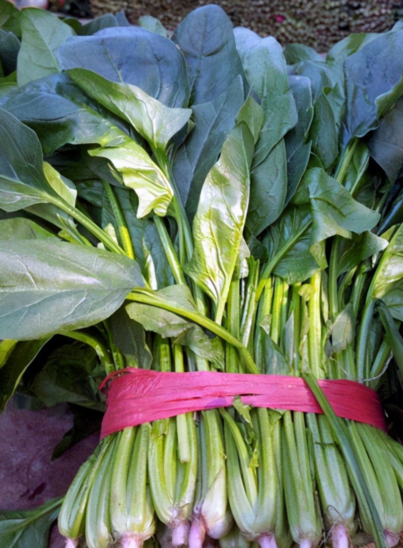 秋冬季節陽臺適合種什么綠植_秋冬季節陽臺種什么花_秋冬季陽臺栽啥植物好