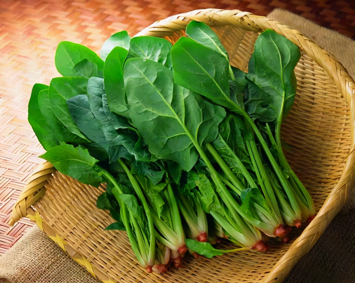 秋冬季節陽臺種什么花_秋冬季陽臺栽啥植物好_秋冬季節陽臺適合種什么綠植