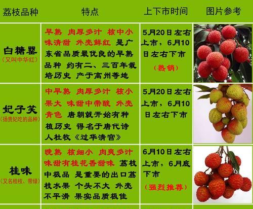 荔枝種植條件和區域_種植荔枝的自然條件_荔枝種植氣候條件