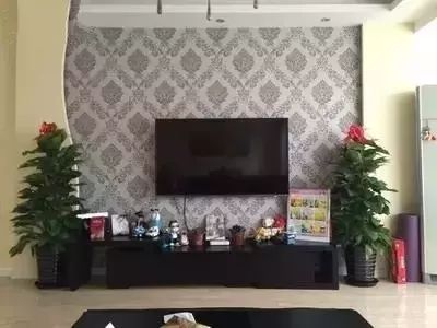 放在室內的綠植_室內綠植放在外面淋雨好嗎視頻_室內綠植放在高處好嗎