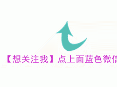 家庭里，養這4種“植物”很合適，能“吸甲醛”，讓家人更健康！